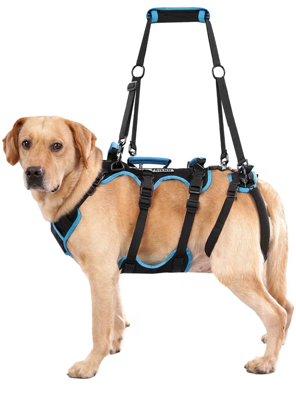 Blue Dog Support Harness with Lift Handle and Adjustable Straps